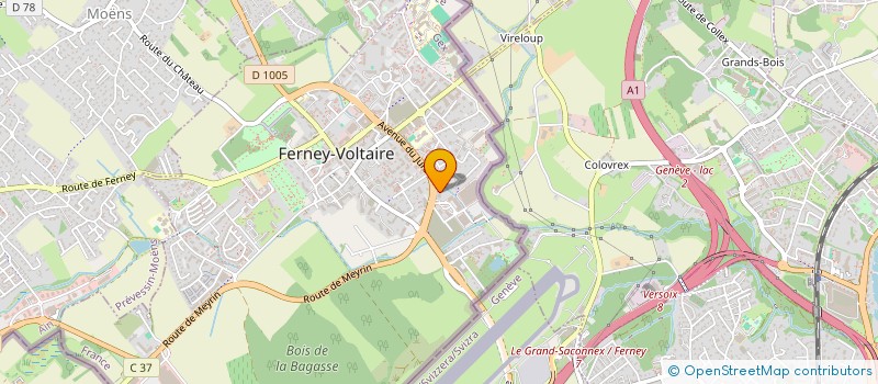 localisation de l'entreprise MONSIEUR DINH TRAN à FERNEY-VOLTAIRE