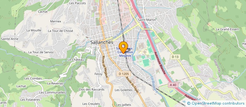 localisation de l'entreprise MONSIEUR DINO BASSO à SALLANCHES