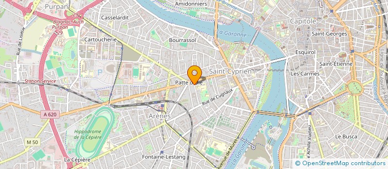 localisation de l'entreprise MONSIEUR DINO PASINI à TOULOUSE
