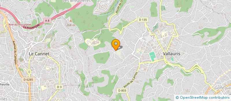 localisation de l'entreprise MONSIEUR DINO PELLIZZARO  VALLAURIS