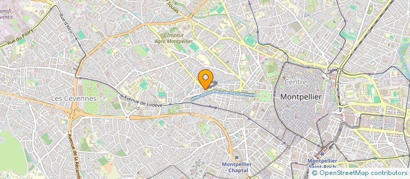 localisation de l'entreprise MONSIEUR DINO TAMBURINI à MONTPELLIER