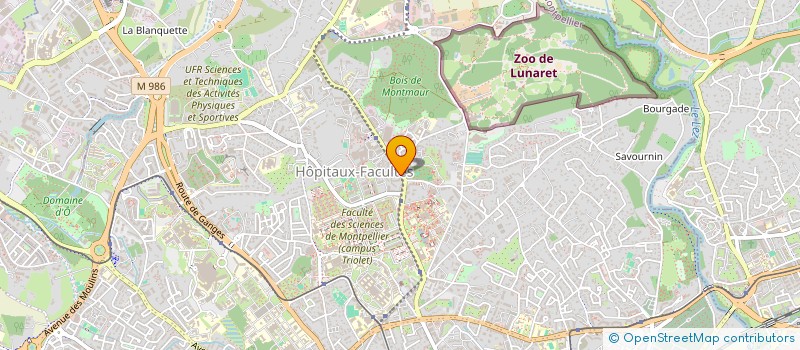 localisation de l'entreprise MONSIEUR DINO TESTA à MONTPELLIER