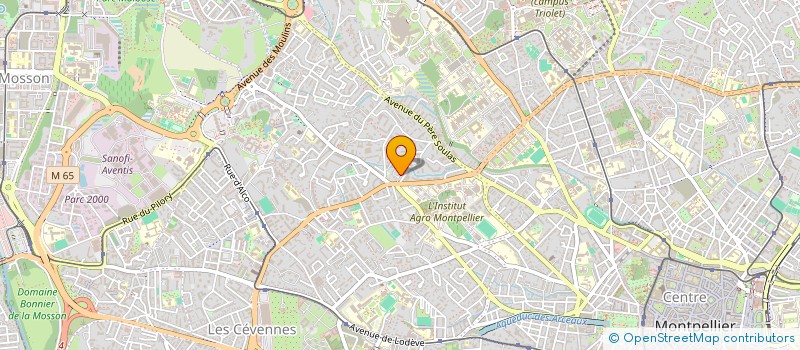 localisation de l'entreprise MONSIEUR DIOGO SILVA BRAGA à MONTPELLIER