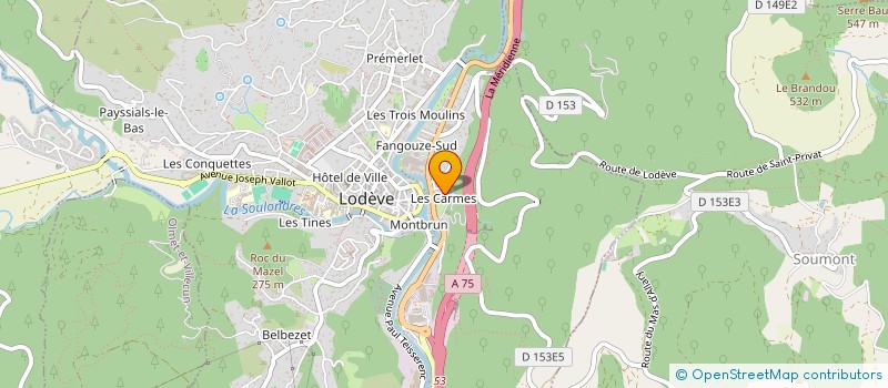 localisation de l'entreprise MONSIEUR DIRK PUYPE à LODEVE