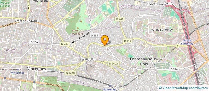 localisation de l'entreprise MONSIEUR DIT BENAYOUN à FONTENAY-SOUS-BOIS