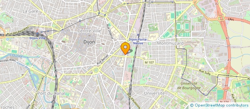 localisation de l'entreprise MONSIEUR DIYAA RASHOW  DIJON