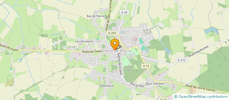 localisation de l'entreprise MONSIEUR DJAD BERINI  PIERRE-DE-BRESSE