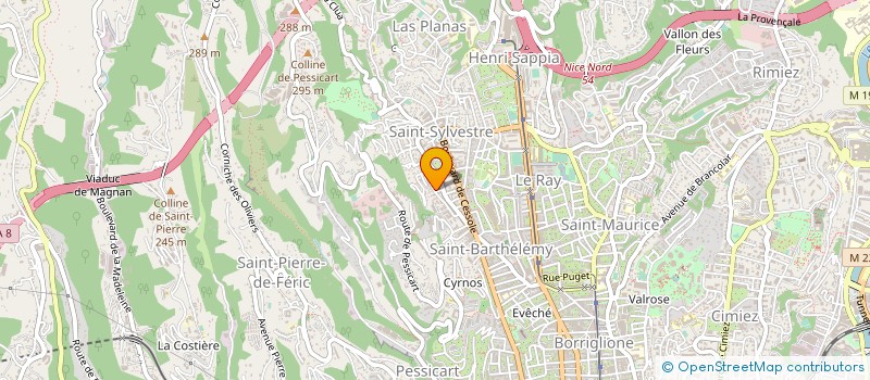 localisation de l'entreprise MONSIEUR DJAHANGIR IZADI à NICE