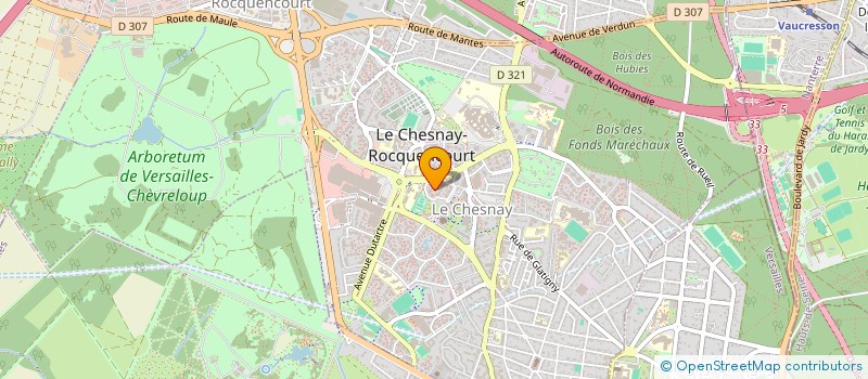 localisation de l'entreprise MONSIEUR DJAMEL HAMLI  LE CHESNAY-ROCQUENCOURT