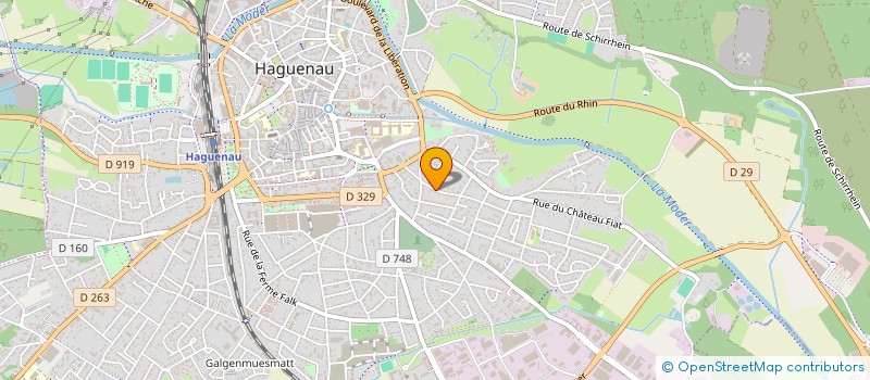 localisation de l'entreprise MONSIEUR DJANI JOVANOVIC  HAGUENAU