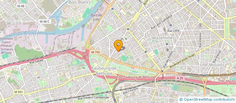 localisation de l'entreprise MONSIEUR DJANY BOBANGA à LILLE