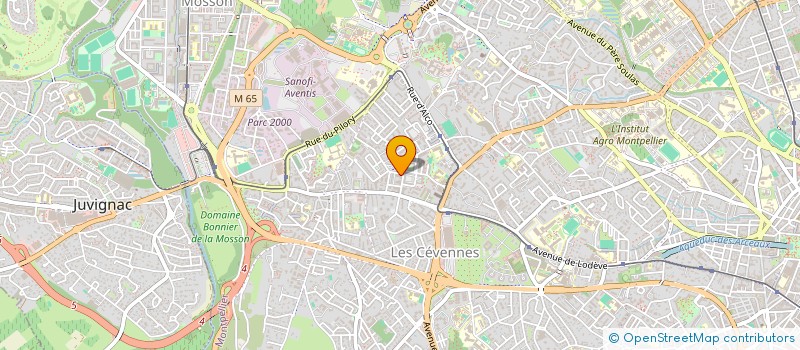 localisation de l'entreprise MONSIEUR DJELLOUL KEDDARI à MONTPELLIER