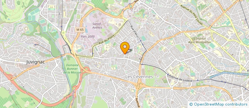 localisation de l'entreprise MONSIEUR DJIBRIL DIONG à MONTPELLIER