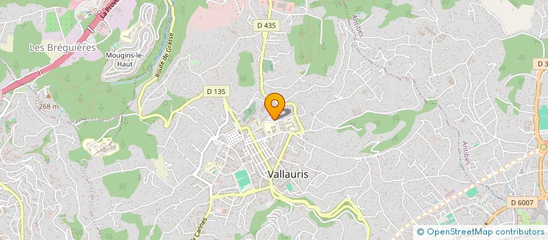 localisation de l'entreprise MONSIEUR DJIMELI BOUCHOUICHA  VALLAURIS