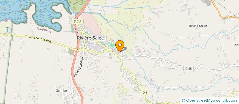 localisation de l'entreprise MONSIEUR DJINO PATOLE  RIVIERE-SALEE