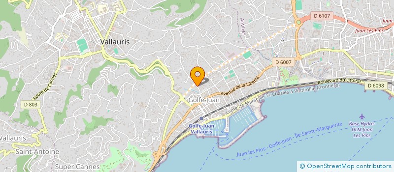 localisation de l'entreprise MONSIEUR DMITRII LIUBEZNOV à VALLAURIS
