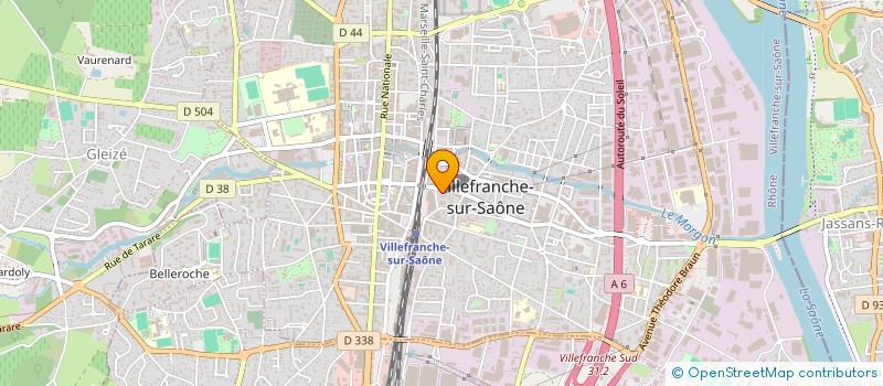 localisation de l'entreprise MONSIEUR DOGAN AYDIN  SAINT-GEORGES-DE-RENEINS