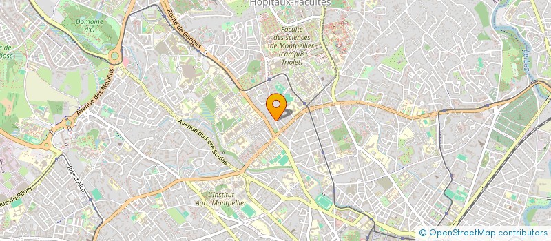localisation de l'entreprise MONSIEUR DOGAN KARTAL à MONTPELLIER