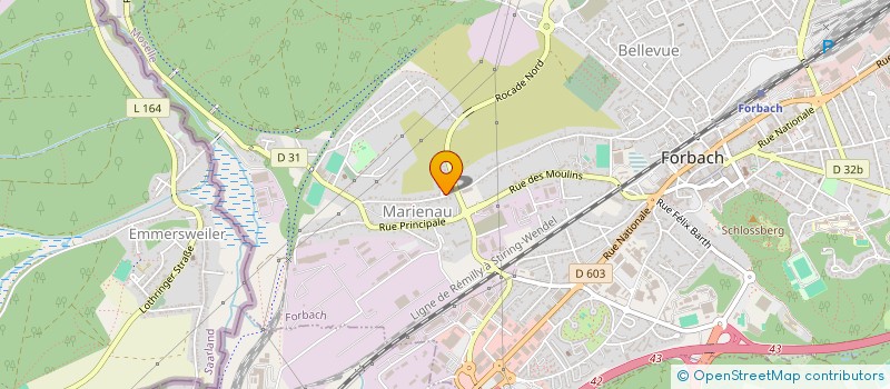 localisation de l'entreprise MONSIEUR DOMENICO PINTO  FORBACH