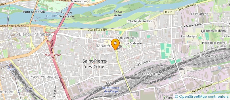 localisation de l'entreprise MONSIEUR DOMINGOS BENJAMIM  SAINT-PIERRE-DES-CORPS