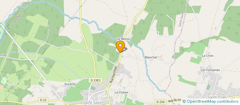 localisation de l'entreprise MONSIEUR DOMINGOS MOREIRA DA SILVA  SAINT-SAVIN