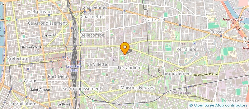 localisation de l'entreprise MONSIEUR DOMINIQUE AMSELLEM  VILLEURBANNE