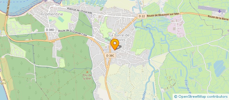 localisation de l'entreprise MONSIEUR DOMINIQUE ARTUS  LA BARRE-DE-MONTS