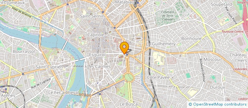 localisation de l'entreprise MONSIEUR DOMINIQUE AVRILLEAU à TOULOUSE