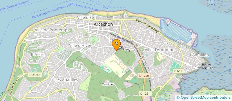 localisation de l'entreprise MONSIEUR DOMINIQUE BACQUET  ARCACHON