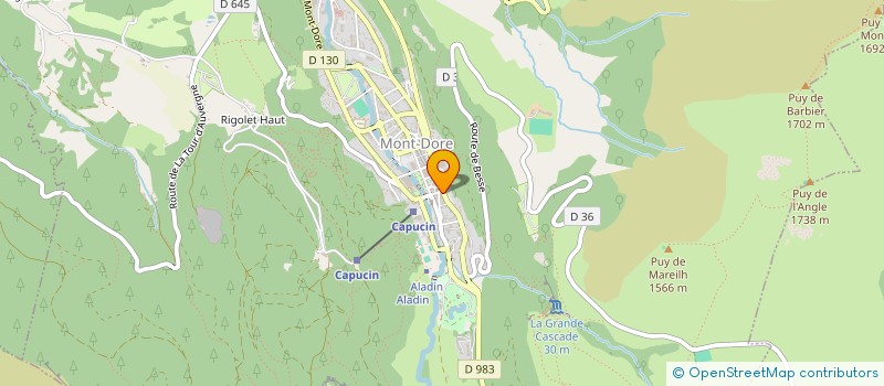 localisation de l'entreprise MONSIEUR DOMINIQUE BAUVY  MONT-DORE