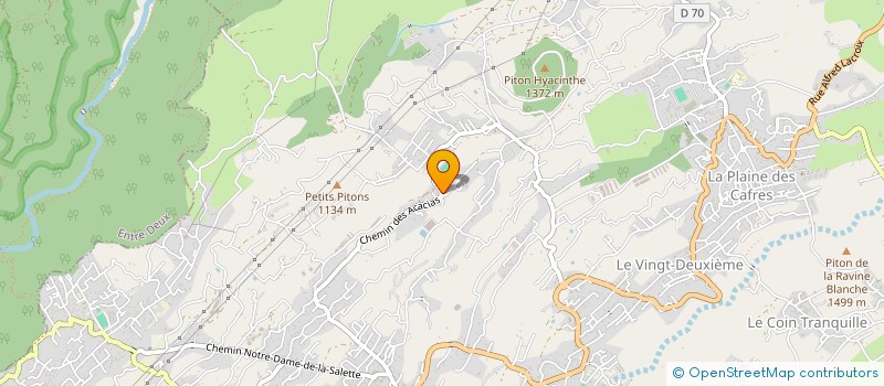 localisation de l'entreprise MONSIEUR DOMINIQUE BERRICHON  LE TAMPON