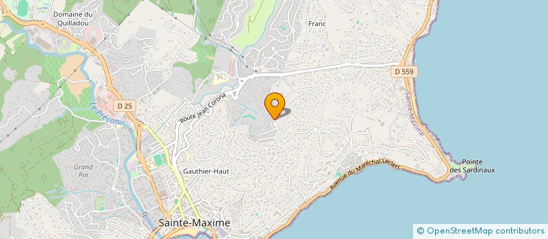localisation de l'entreprise MONSIEUR DOMINIQUE BIEUX à SAINTE-MAXIME