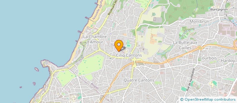 localisation de l'entreprise MONSIEUR DOMINIQUE BLIN à ANGLET