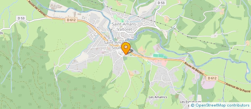 localisation de l'entreprise MONSIEUR DOMINIQUE BOYER  SAINT-AMANS-SOULT