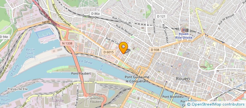 localisation de l'entreprise MONSIEUR DOMINIQUE BRUNG  ROUEN