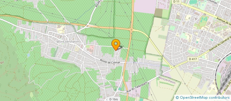 localisation de l'entreprise MONSIEUR DOMINIQUE CHERY  WINTZENHEIM