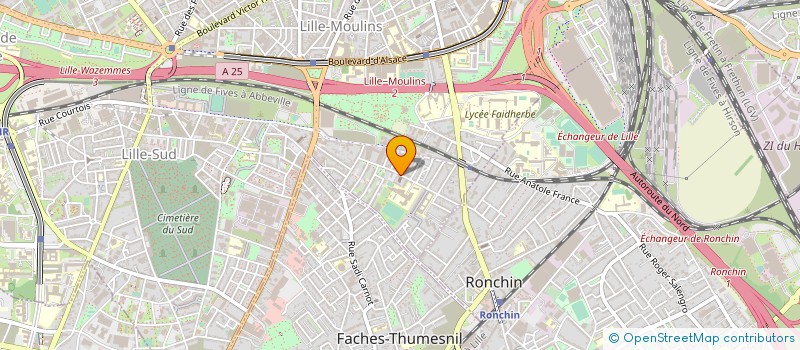 localisation de l'entreprise MONSIEUR DOMINIQUE CODEVILLE à LILLE