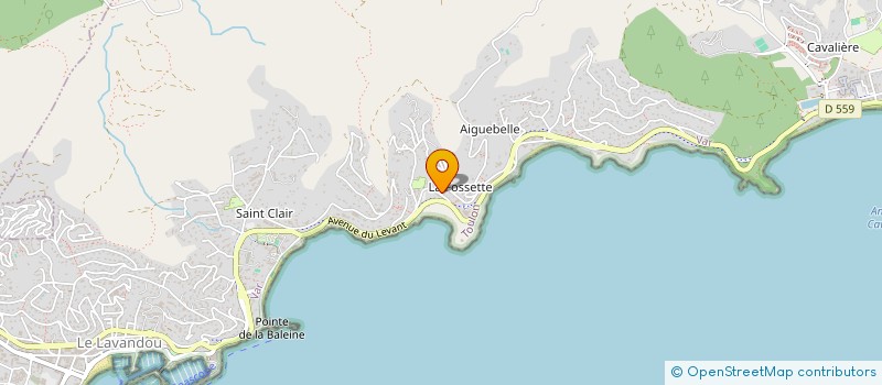 localisation de l'entreprise MONSIEUR DOMINIQUE COEVOET à LE LAVANDOU