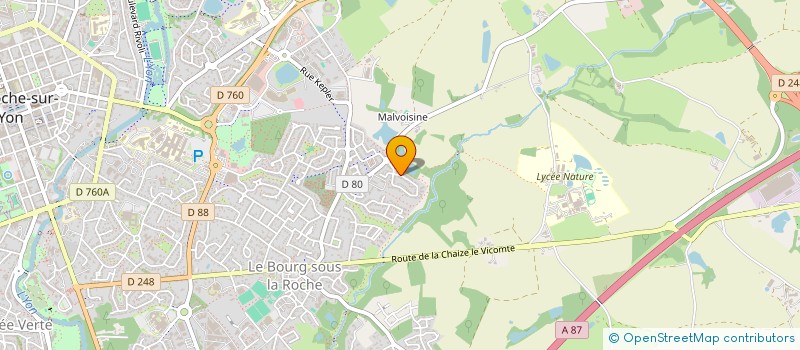 localisation de l'entreprise MONSIEUR DOMINIQUE COLONNELLO à LA ROCHE-SUR-YON