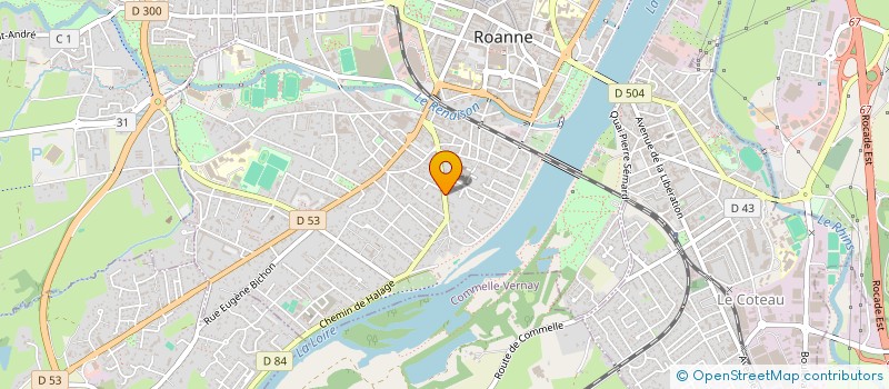 localisation de l'entreprise MONSIEUR DOMINIQUE COTE  ROANNE
