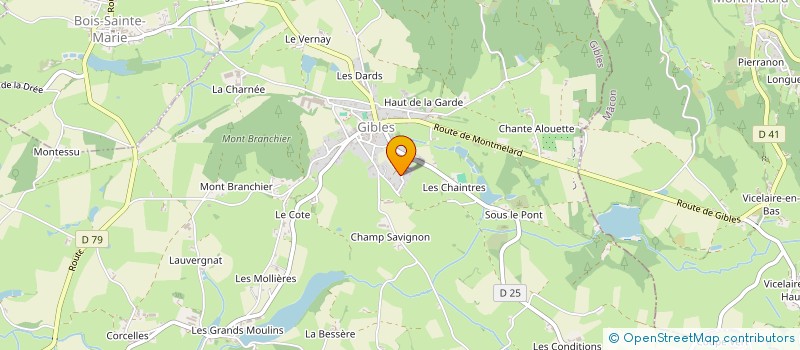 localisation de l'entreprise MONSIEUR DOMINIQUE DELANGLE à VARENNES-SOUS-DUN