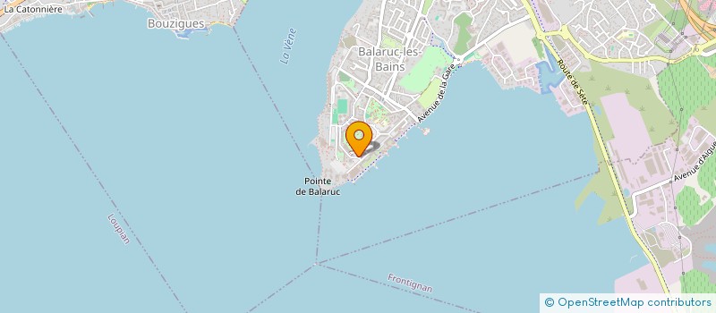 localisation de l'entreprise MONSIEUR DOMINIQUE DENIS  BALARUC-LES-BAINS