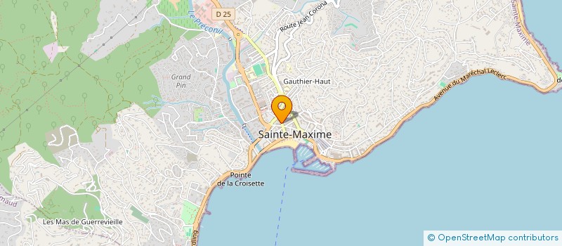localisation de l'entreprise MONSIEUR DOMINIQUE DETOEUF à SAINTE-MAXIME