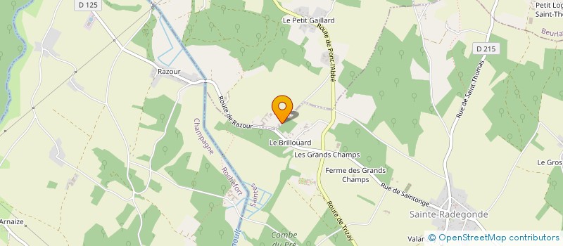 localisation de l'entreprise MONSIEUR DOMINIQUE DOUBLET  TRIZAY