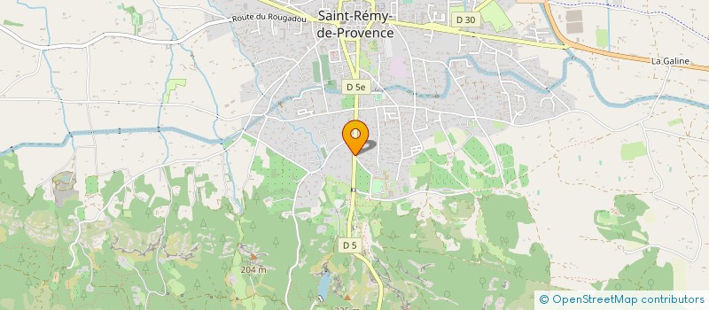 localisation de l'entreprise MONSIEUR DOMINIQUE DOUZON à SAINT-REMY-DE-PROVENCE