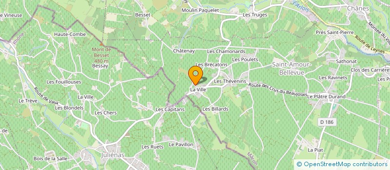 localisation de l'entreprise MONSIEUR DOMINIQUE DUFOUR à SAINT-AMOUR-BELLEVUE