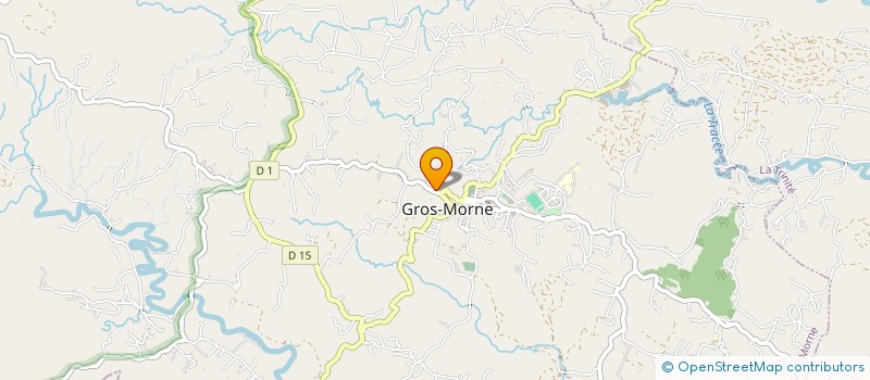 localisation de l'entreprise MONSIEUR DOMINIQUE DUPIL  GROS-MORNE