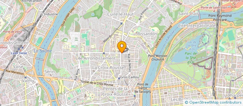 localisation de l'entreprise MONSIEUR DOMINIQUE ENGEL  LYON