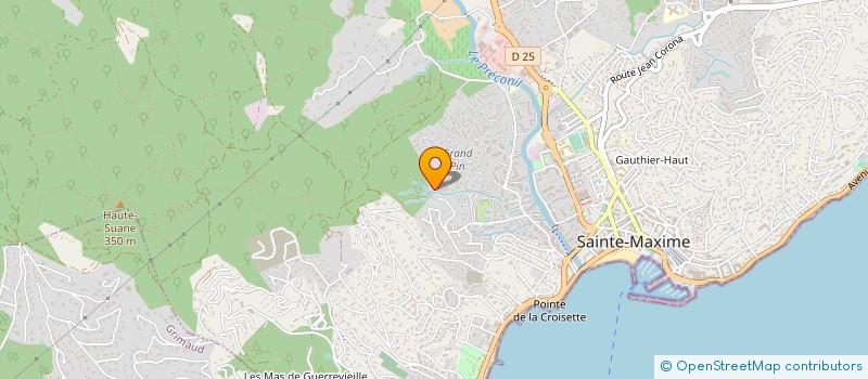 localisation de l'entreprise MONSIEUR DOMINIQUE FALDUTO à SAINTE-MAXIME