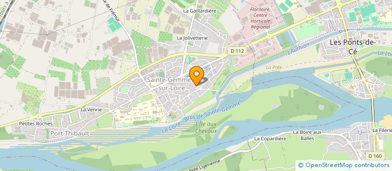 localisation de l'entreprise MONSIEUR DOMINIQUE FAUCHEUX  SAINTE-GEMMES-SUR-LOIRE